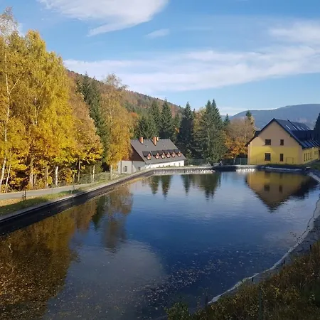 Guest house Penzion Premyslov