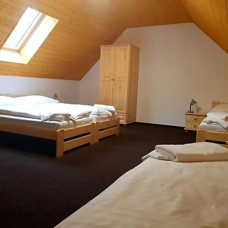 Penzion Premyslov Konukevi Primiswald