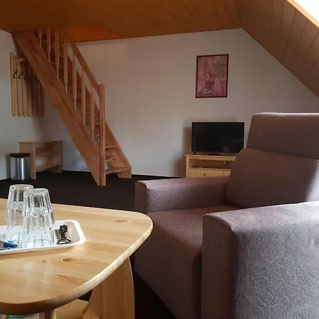 Guest house Penzion Premyslov *
