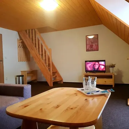 Guest house Penzion Premyslov *